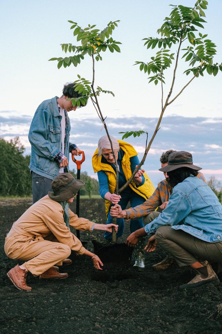 Diverse group of adults planting a tree together in a field, symbolizing teamwork and environmental conservation.