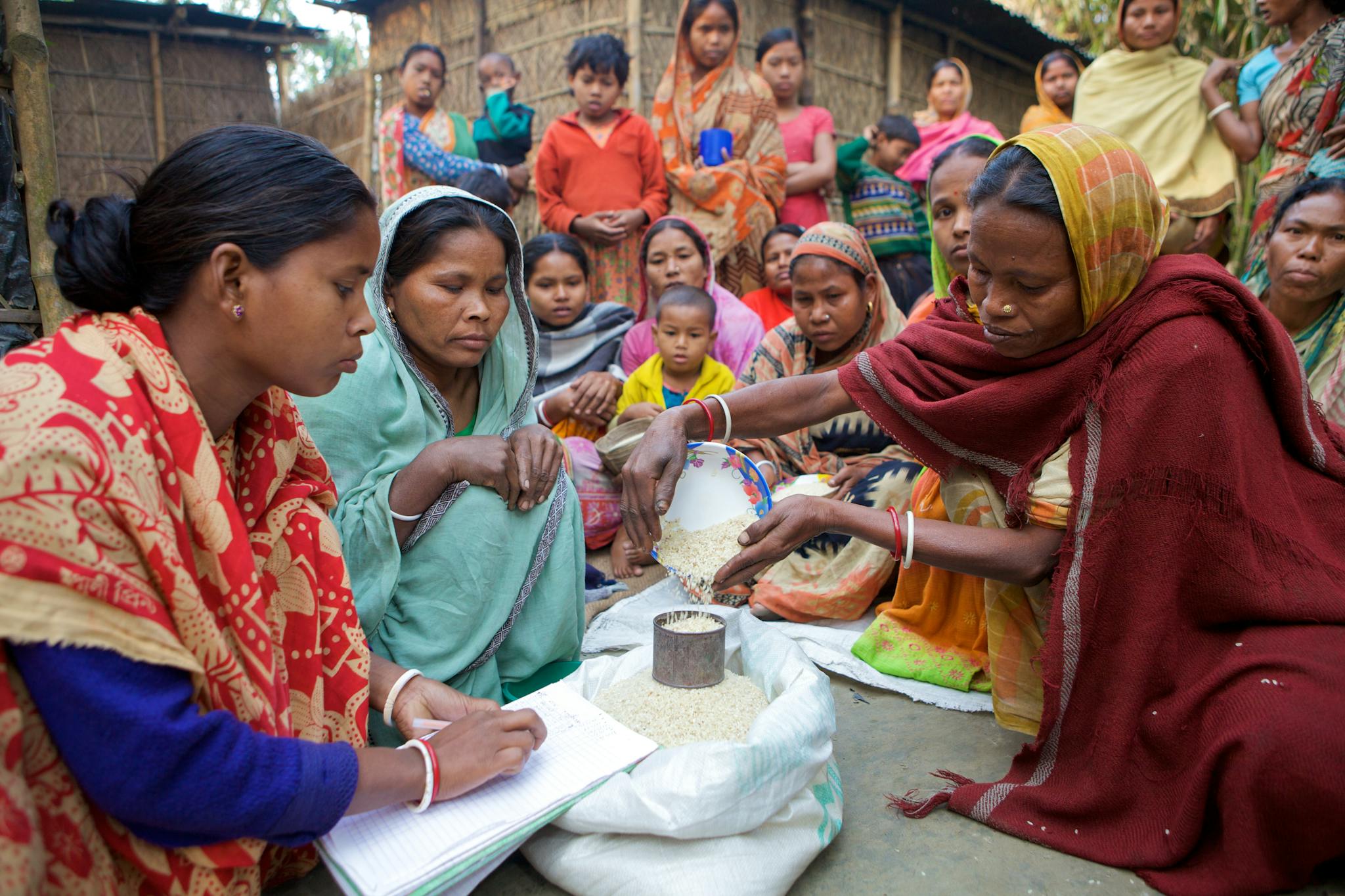 Free stock photo of agricultural development, bangladesh, ngo
